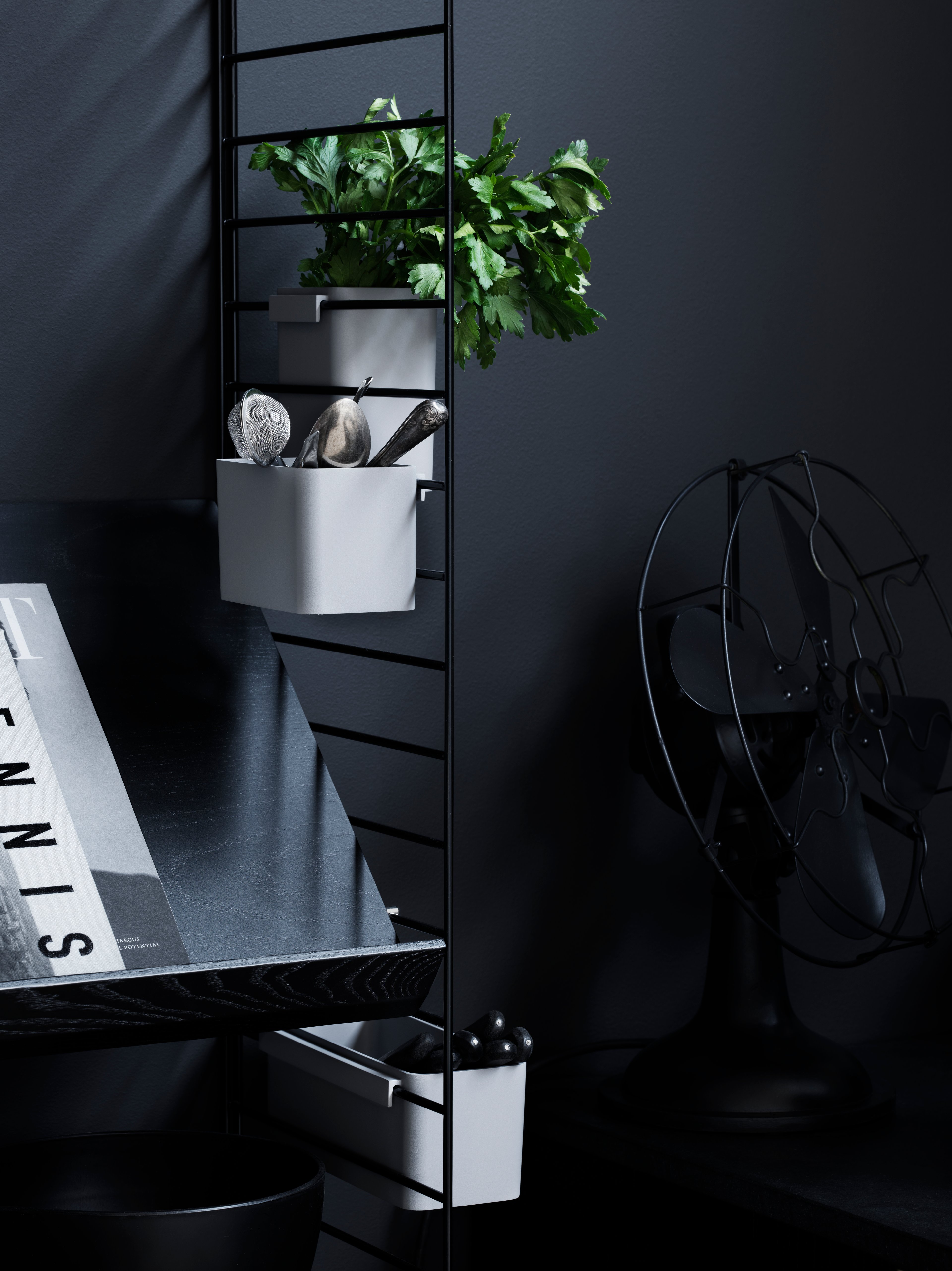 system-magazine-shelf-blackst-closeup_portrait.jpg